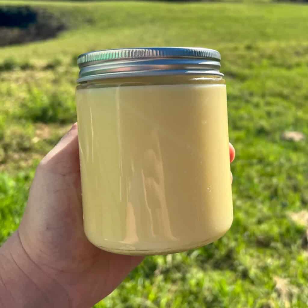 Beef tallow